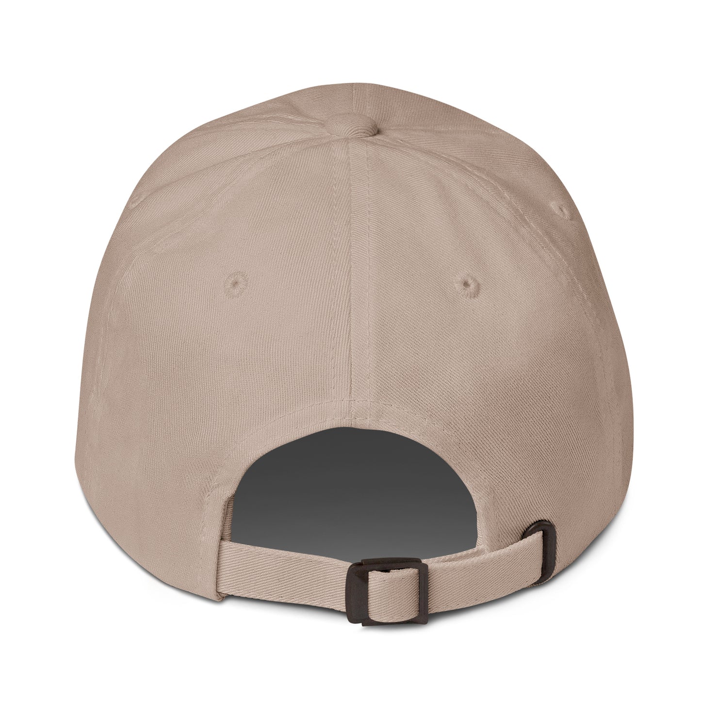 Aviator Dad Hat - Flight Cap - Aerosexual Headwear