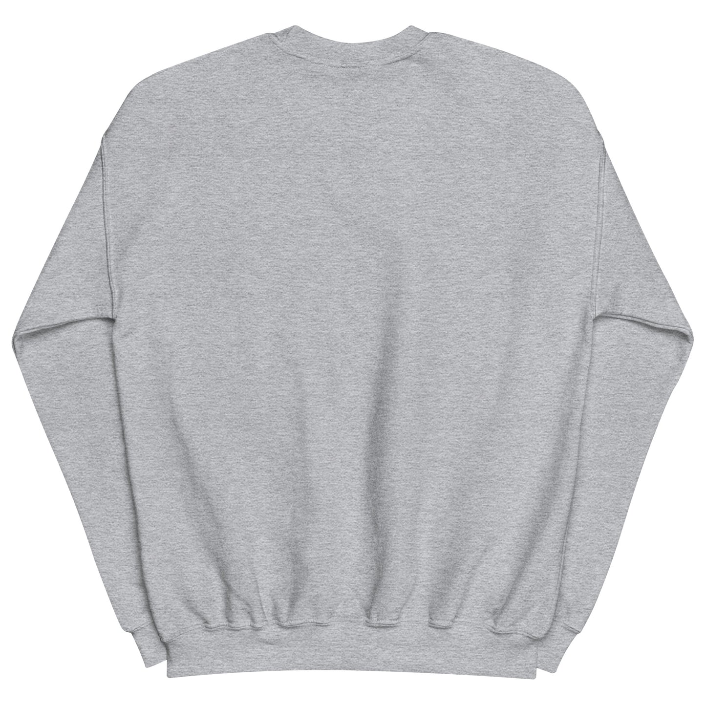 Aerosexual Sweatshirt - Aviation Embroidery - Unisex Cozy Top