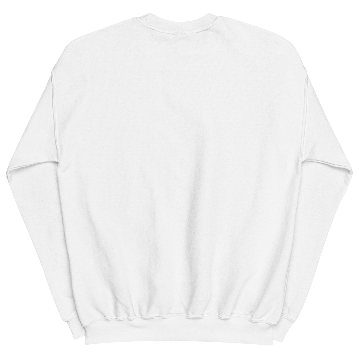 Aerosexual Sweatshirt - Aviation Embroidery - Unisex Cozy Top