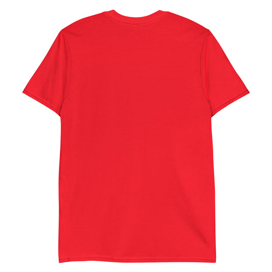 Aerosexual Classic Tee - Aviation Shirt - Unisex Casual Top