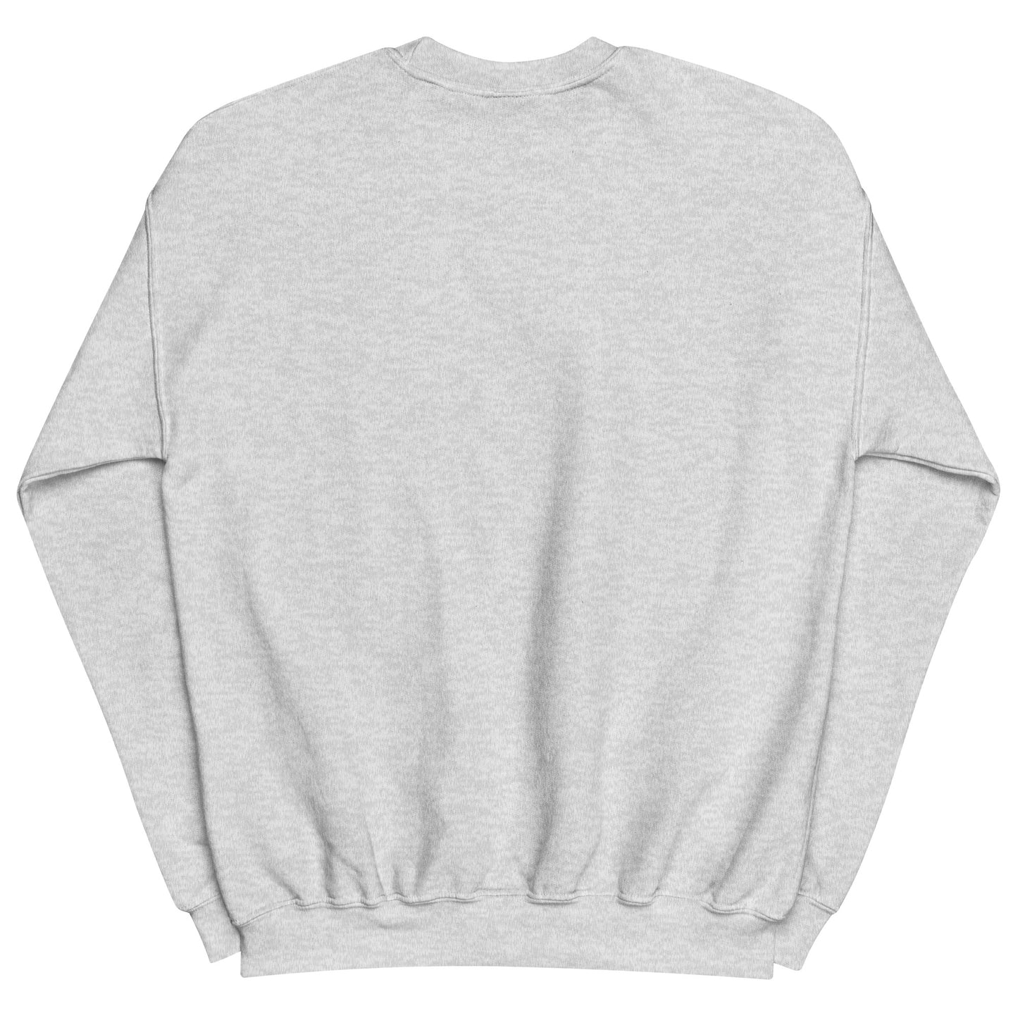 Aerosexual Sweatshirt - Aviation Embroidery - Unisex Cozy Top