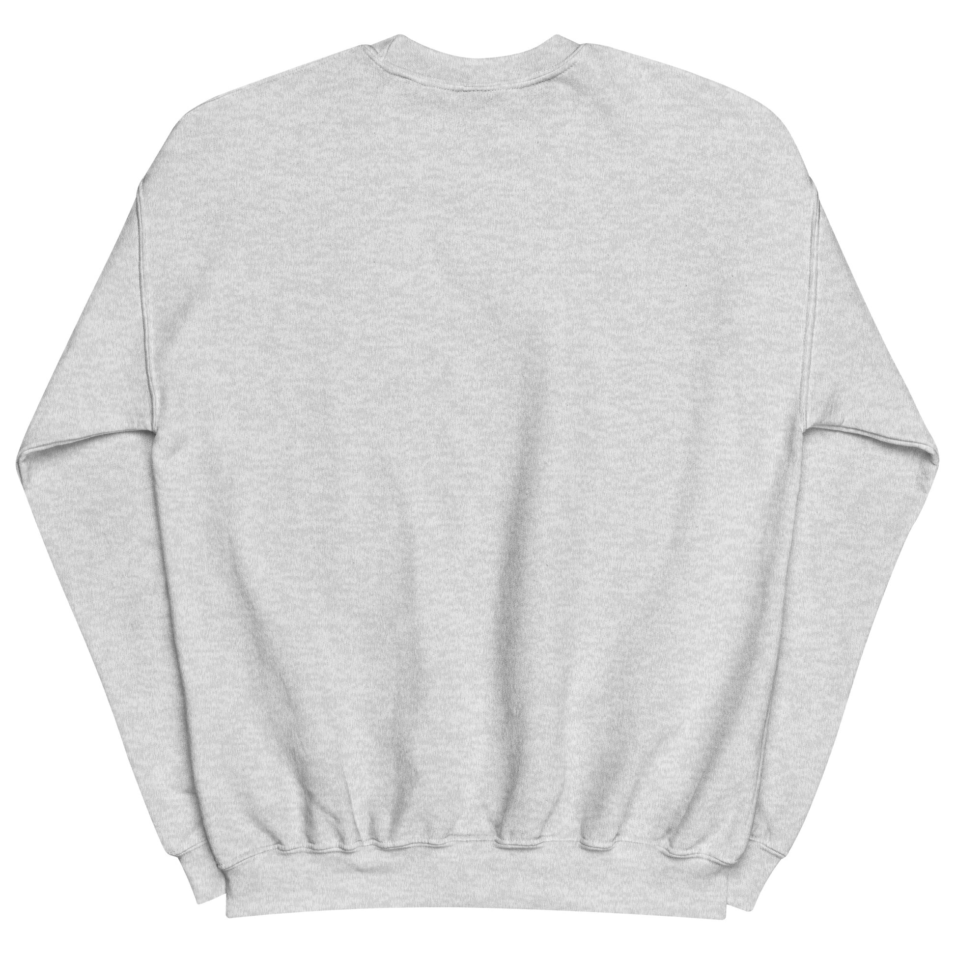 Aerosexual Sweatshirt - Aviation Embroidery - Unisex Cozy Top