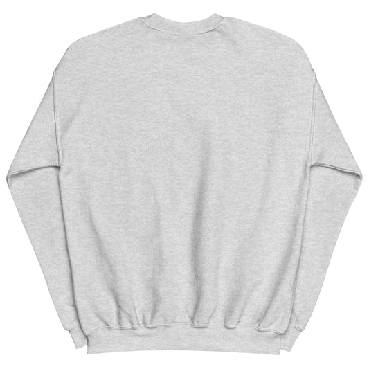 Aerosexual Sweatshirt - Aviation Embroidery - Unisex Cozy Top