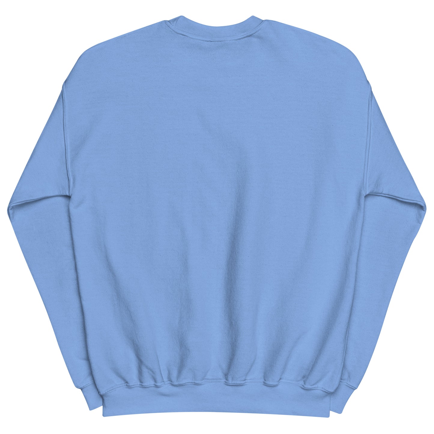 Aerosexual Sweatshirt - Aviation Embroidery - Unisex Cozy Top