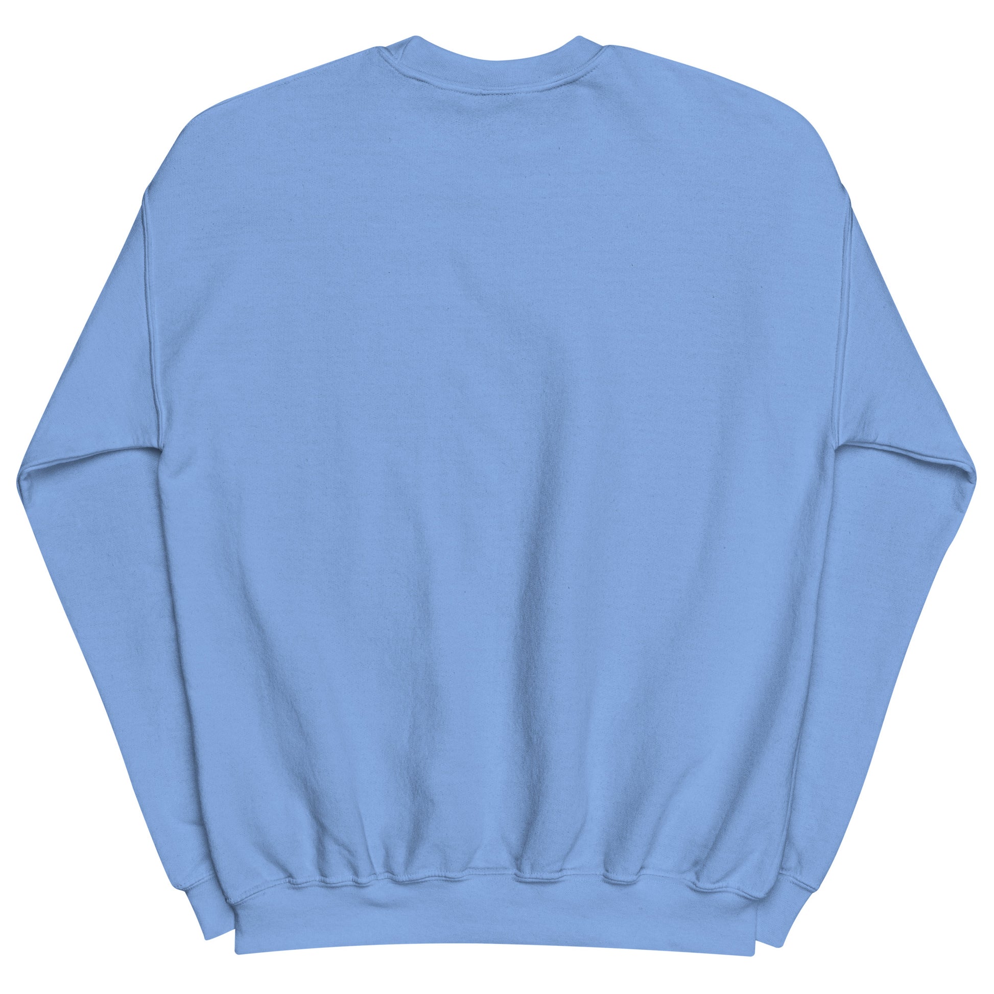Aerosexual Sweatshirt - Aviation Embroidery - Unisex Cozy Top