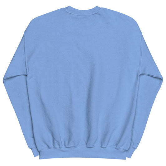 Aerosexual Sweatshirt - Aviation Embroidery - Unisex Cozy Top