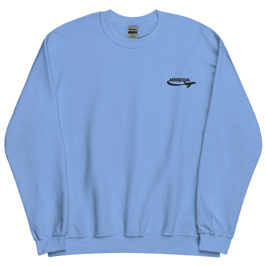 Aerosexual Sweatshirt - Aviation Embroidery - Unisex Cozy Top