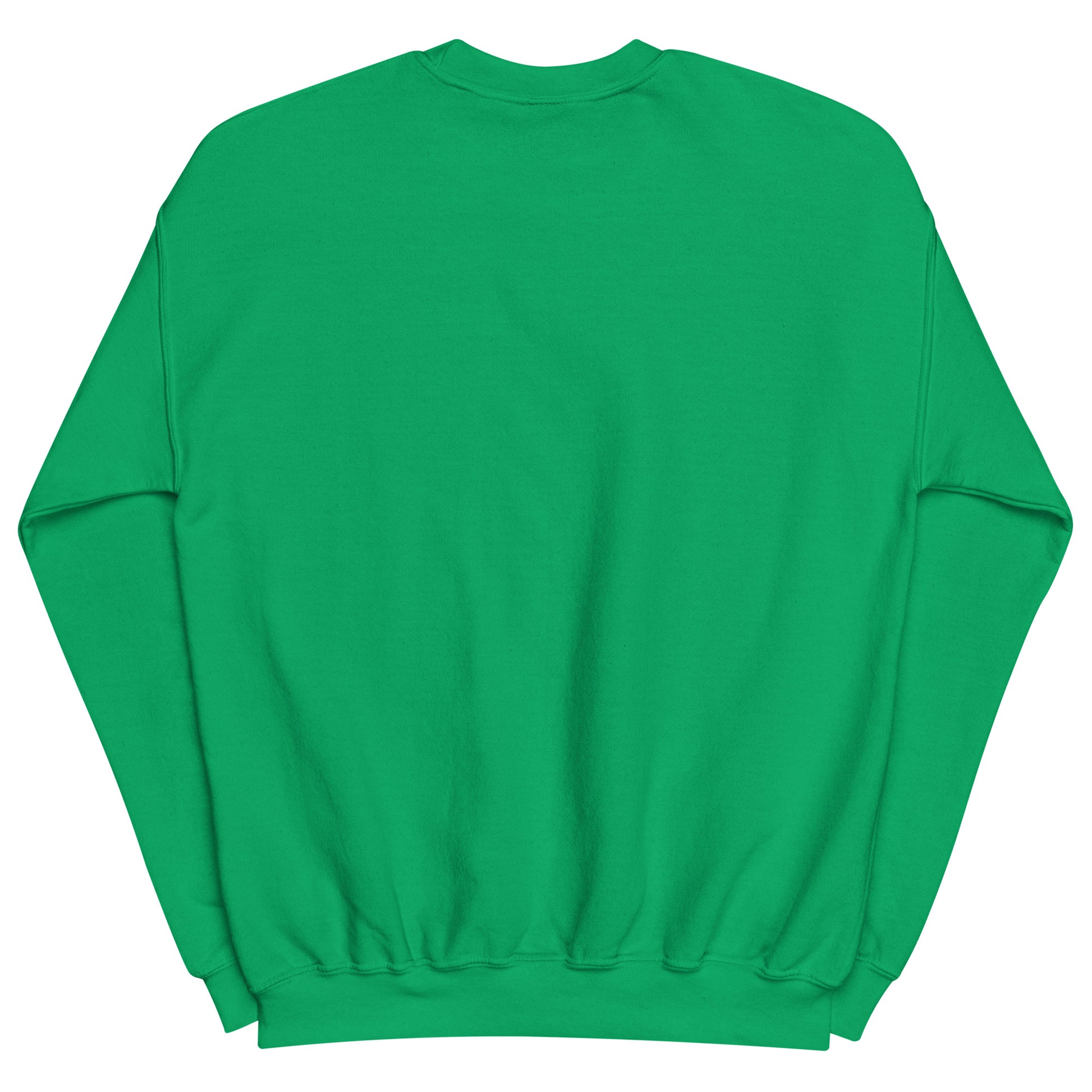 Aerosexual Sweatshirt - Aviation Embroidery - Unisex Cozy Top