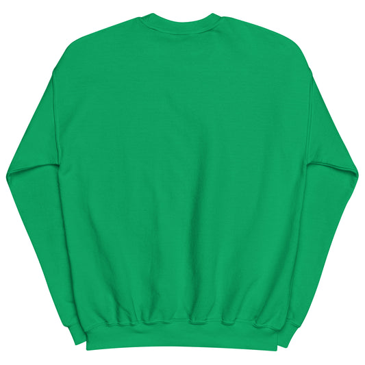 Aerosexual Sweatshirt - Aviation Embroidery - Unisex Cozy Top