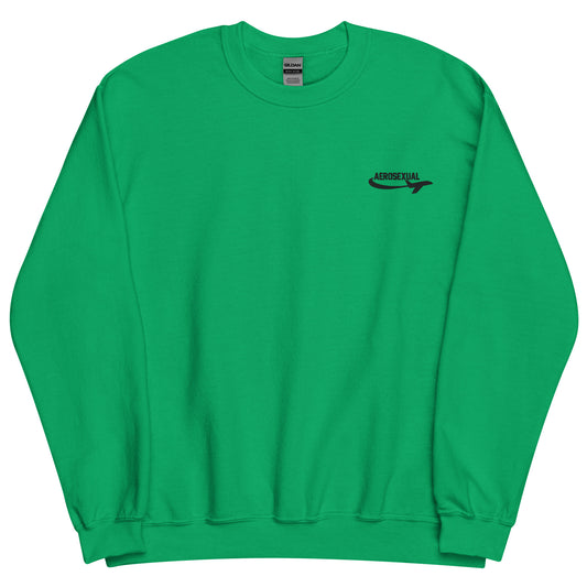 Aerosexual Sweatshirt - Aviation Embroidery - Unisex Cozy Top