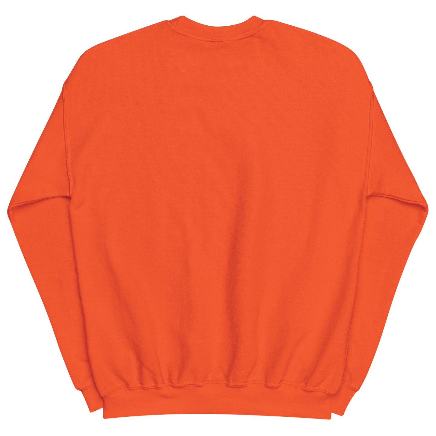 Aerosexual Sweatshirt - Aviation Embroidery - Unisex Cozy Top
