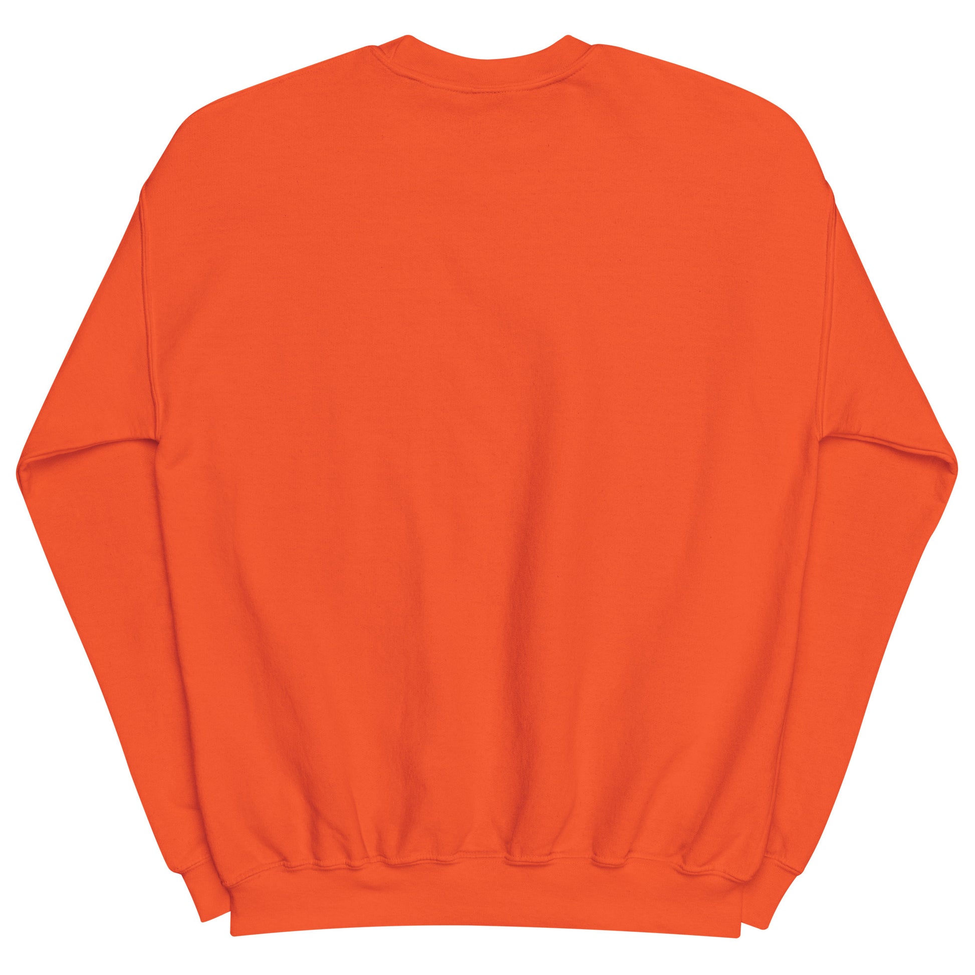 Aerosexual Sweatshirt - Aviation Embroidery - Unisex Cozy Top