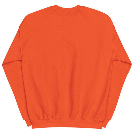 Aerosexual Sweatshirt - Aviation Embroidery - Unisex Cozy Top