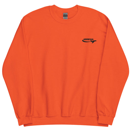 Aerosexual Sweatshirt - Aviation Embroidery - Unisex Cozy Top