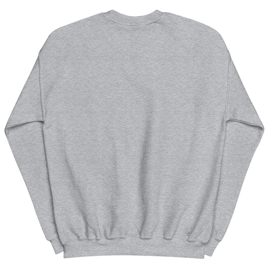 Aerosexual Sweatshirt - Aviation Embroidery - Unisex Cozy Top