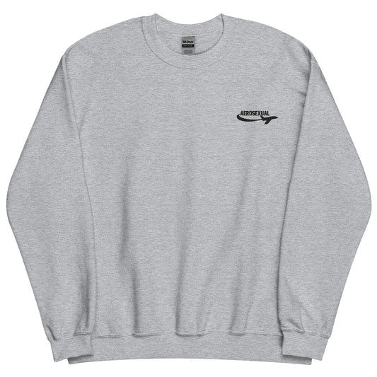 Aerosexual Sweatshirt - Aviation Embroidery - Unisex Cozy Top