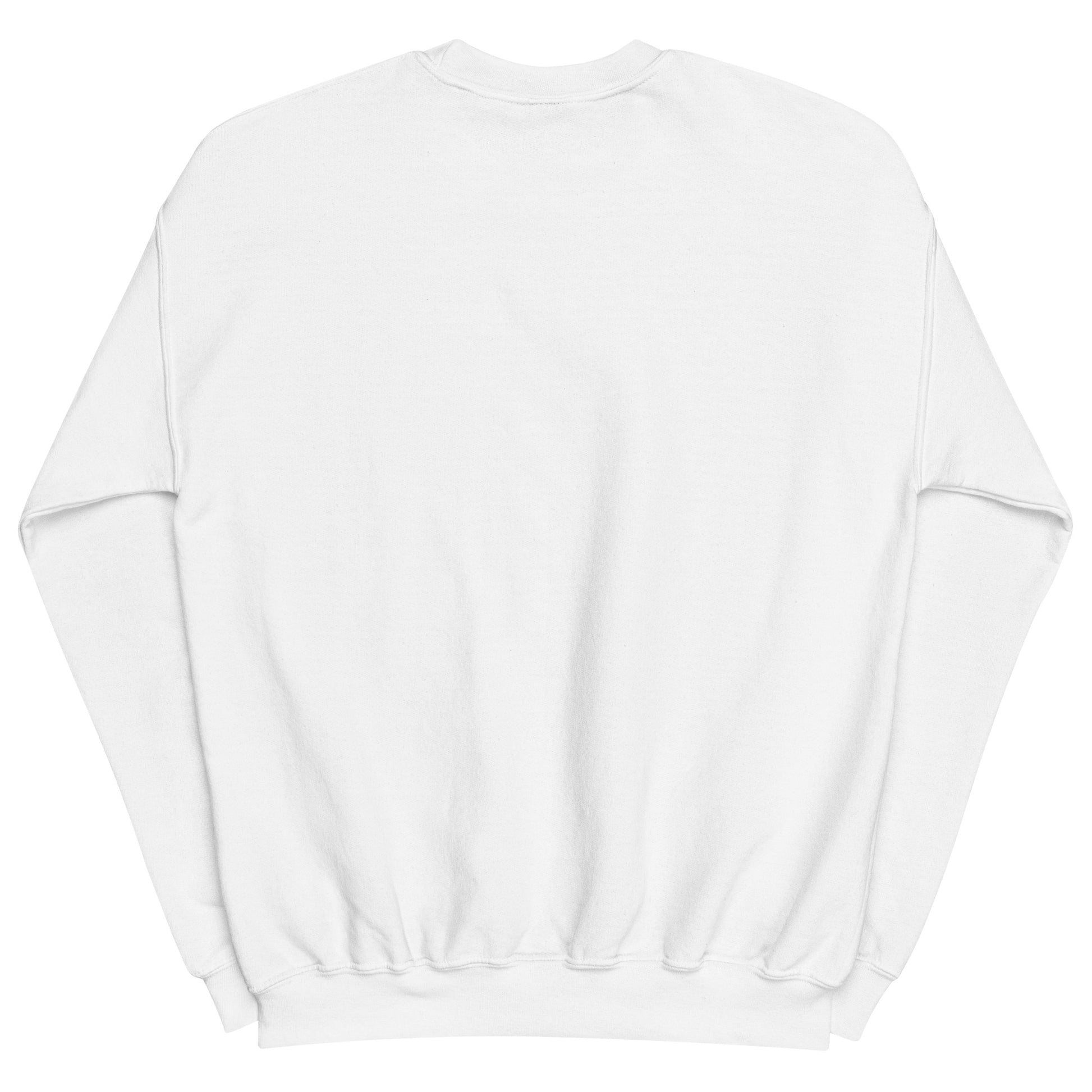 Aerosexual Sweatshirt - Aviation Embroidery - Unisex Cozy Top