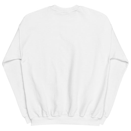 Aerosexual Sweatshirt - Aviation Embroidery - Unisex Cozy Top